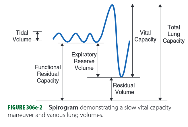 Spirogram demonstrating a slow vital capacity maneuver and various lung volumes, including TLC, VC, FRC, RV, TV, IRV, and ERV - FIGURE 306e-2