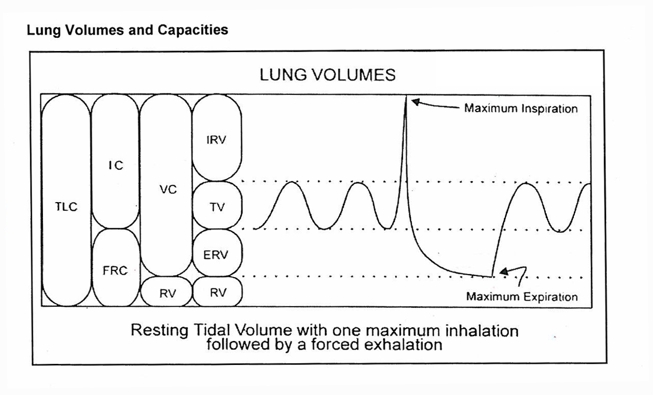 Diagram showing lung volumes and capacities with labeled compartments including TLC, VC, IC, FRC, ERV, TV, IRV, and RV