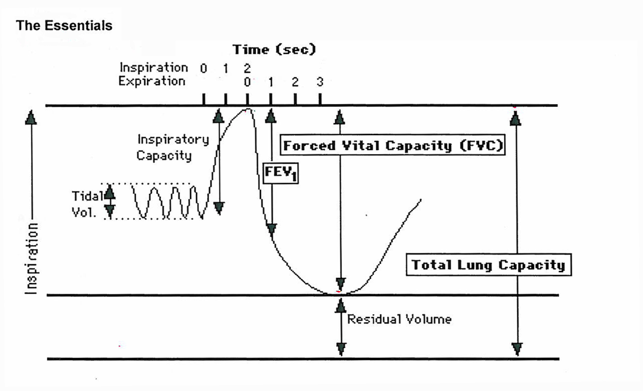 The Essentials of spirometry showing tidal volume as normal resting breathing, vital capacity as maximal inhalation to maximal exhalation, and residual volume as the air that cannot be exhaled